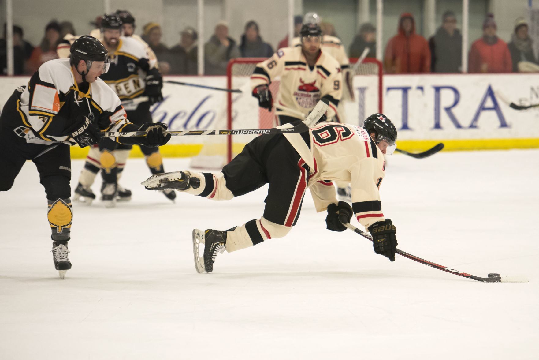 Moose hockey